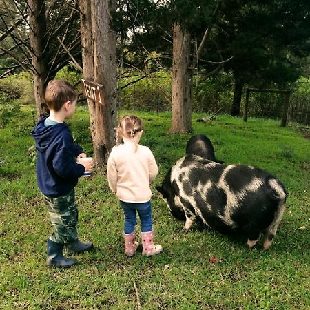 Fernhill Guest Farm Cottages Knysna Exteriör bild