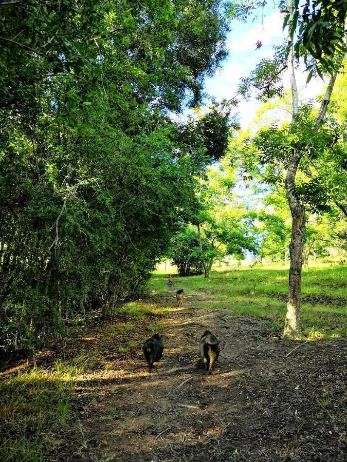 Fernhill Guest Farm Cottages Knysna Exteriör bild