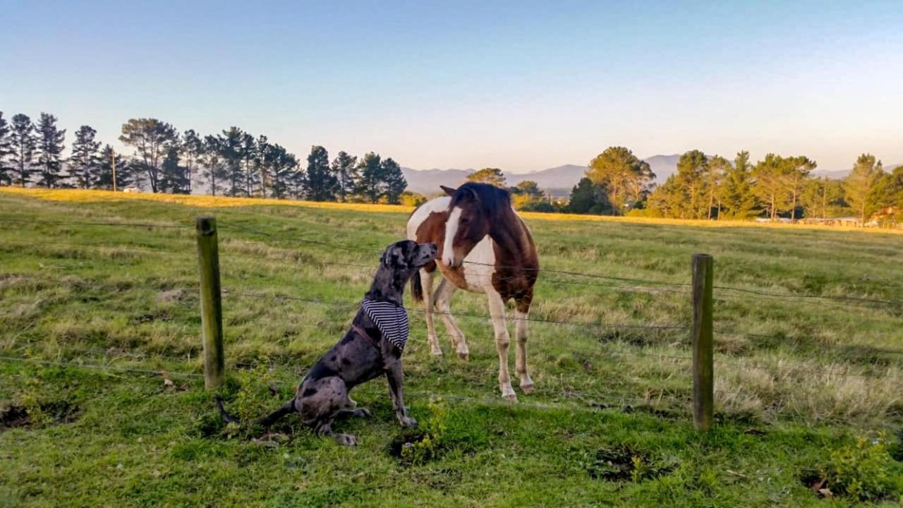 Fernhill Guest Farm Cottages Knysna Exteriör bild