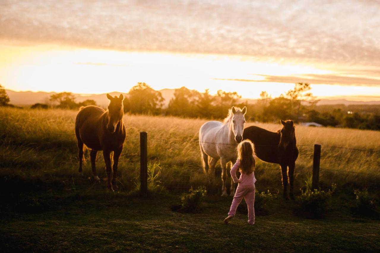 Fernhill Guest Farm Cottages Knysna Exteriör bild