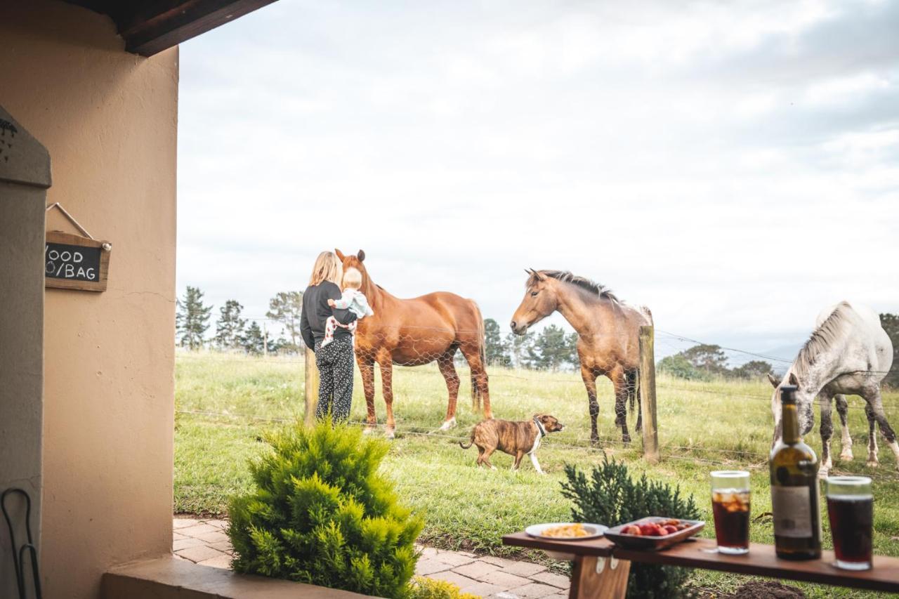 Fernhill Guest Farm Cottages Knysna Exteriör bild
