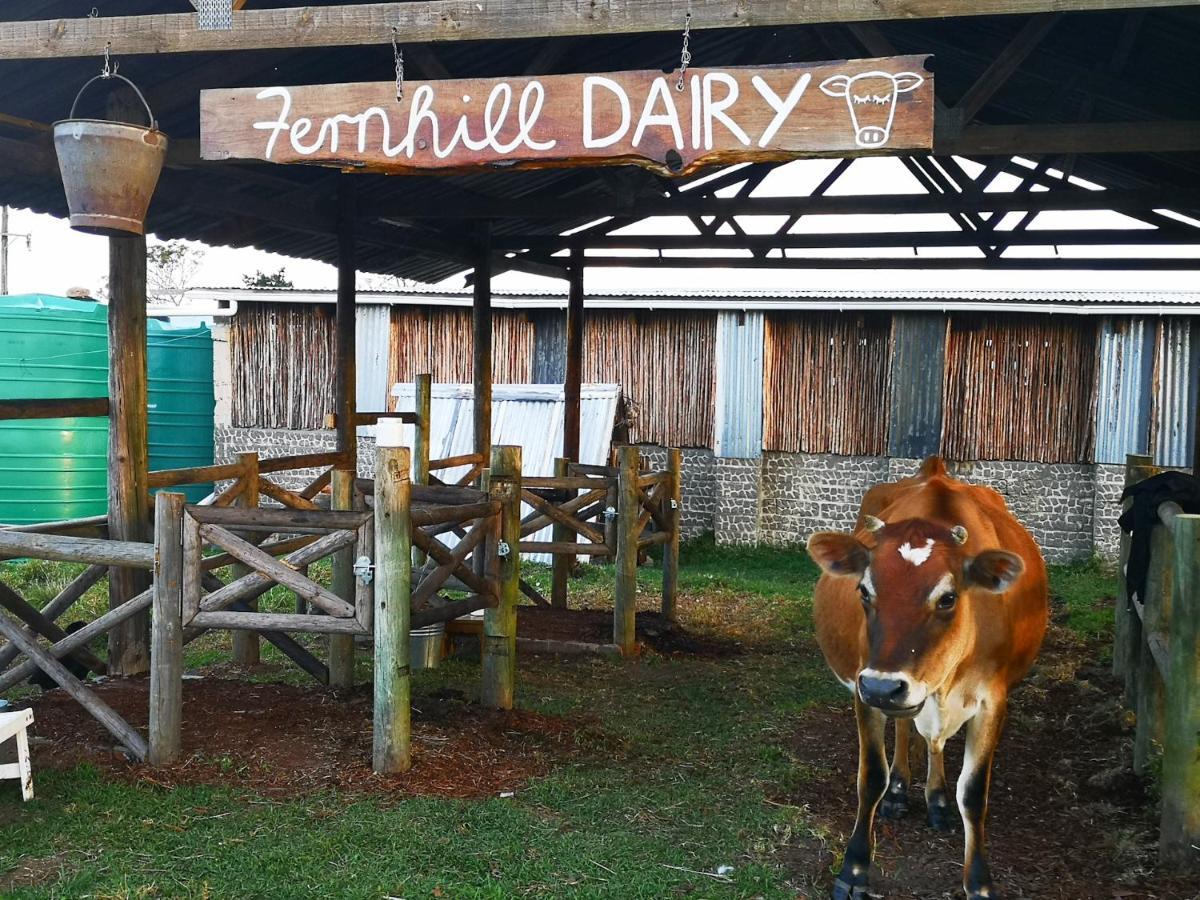 Fernhill Guest Farm Cottages Knysna Exteriör bild