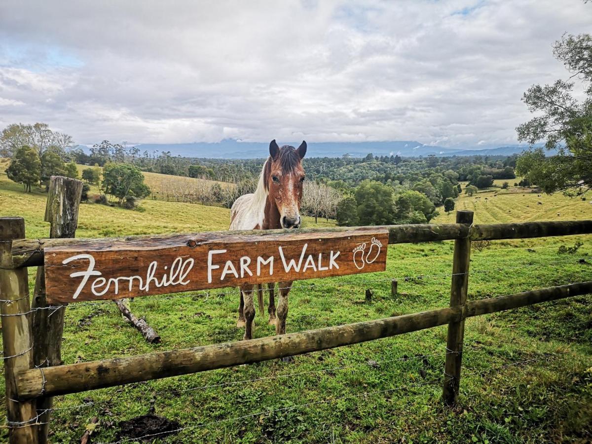 Fernhill Guest Farm Cottages Knysna Exteriör bild