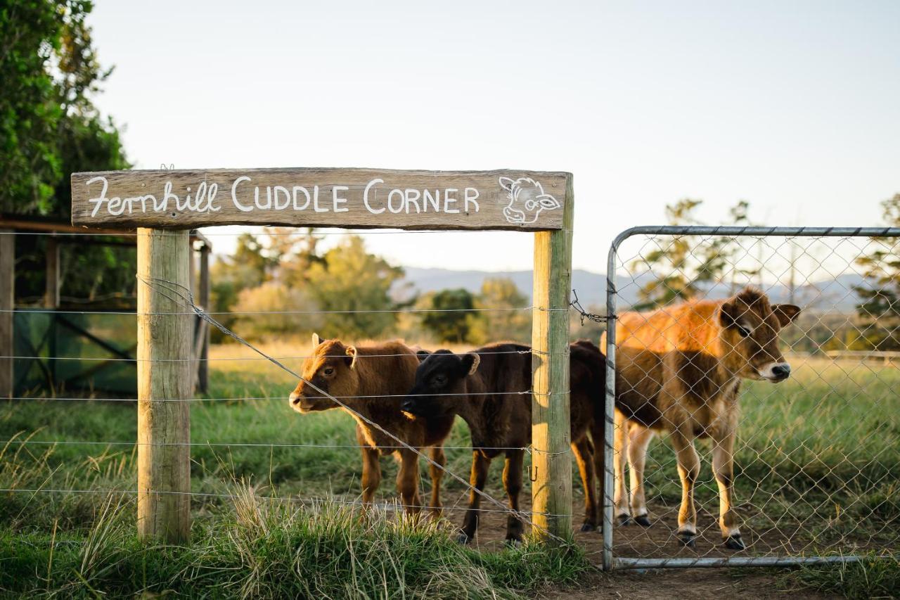 Fernhill Guest Farm Cottages Knysna Exteriör bild